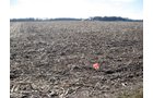 Property photo 4 - 127 Acres Offered in 4 Tracts